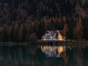Pexels Eberhardgross 1612351