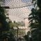 Beautiful forest