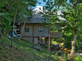 A large house surrounded by nature