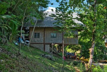 A large house surrounded by nature