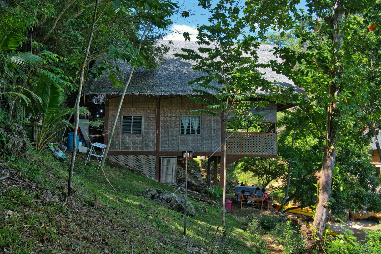 A large house surrounded by nature