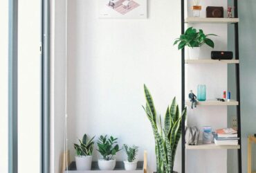 Bright, modern interior with minimal decor, featuring lush houseplants, shelving, and natural light.
