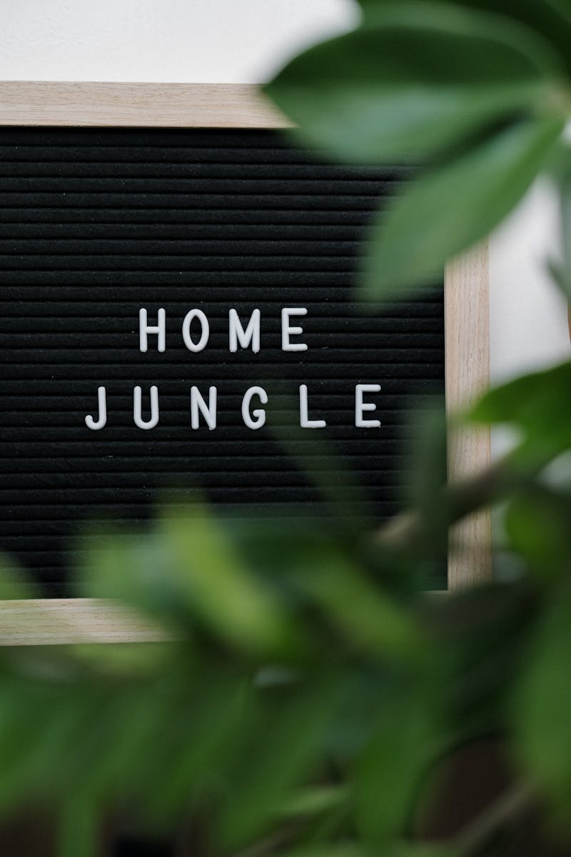 Cozy home decor with 'Home Jungle' sign amidst vibrant green houseplants creating a relaxing indoor atmosphere.