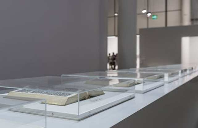 5 Basic Tips To Keep In Mind When Buying Museum Style Display Cases