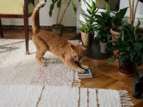 A ginger cat stretches by a plant in a cozy room, showcasing home comfort and interior design.