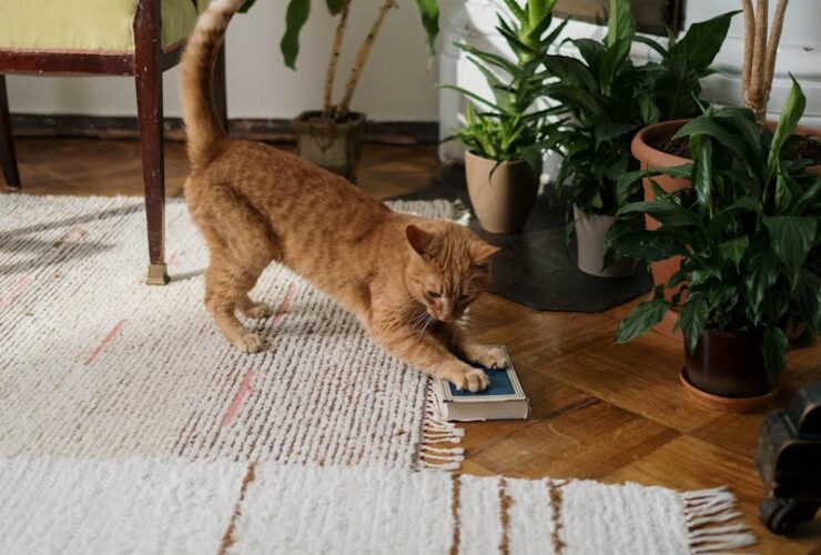 A ginger cat stretches by a plant in a cozy room, showcasing home comfort and interior design.