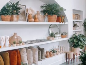 a room filled with lots of plants and potted plants
