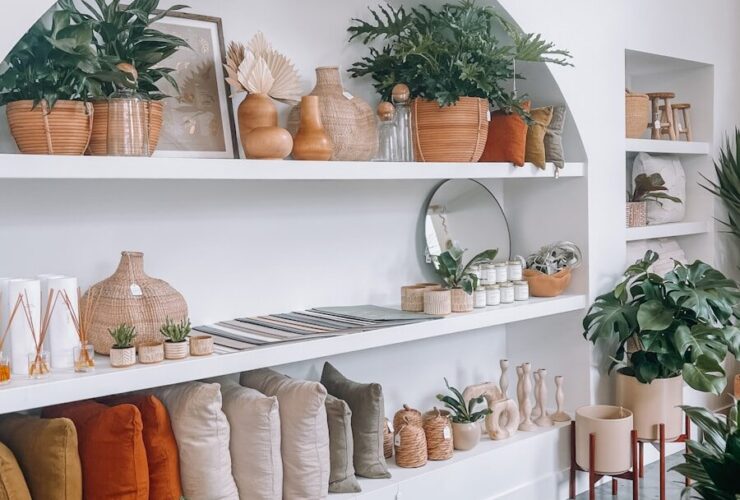 a room filled with lots of plants and potted plants