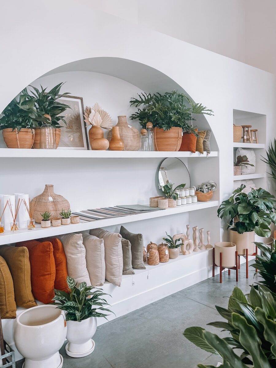 a room filled with lots of plants and potted plants