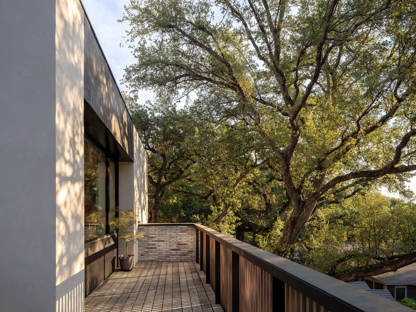 Zilker 23