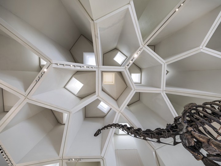 17 Natural History Museum Abu Dhabi By Ossip Architectuurfotografie