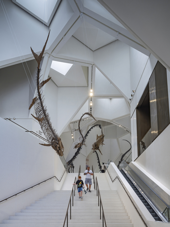 20 Natural History Museum Abu Dhabi By Ossip Architectuurfotografie