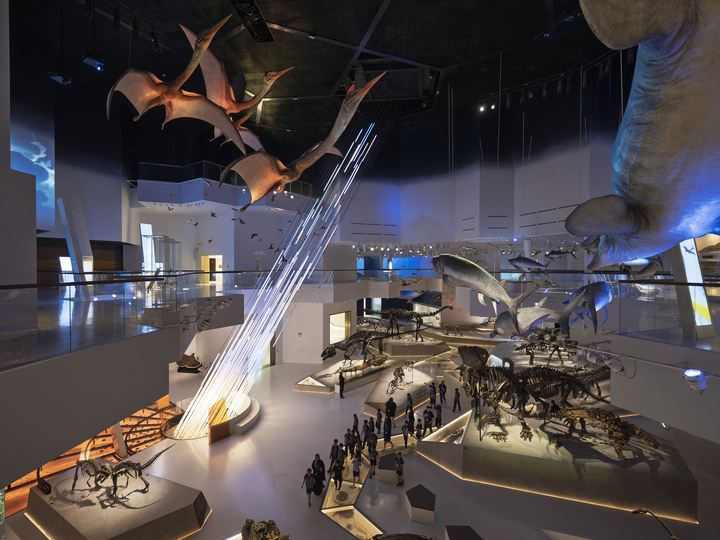 22 Natural History Museum Abu Dhabi By Ossip Architectuurfotografie