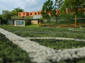 green and white soccer field