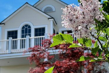 a tree with pink flowers in front of a white building