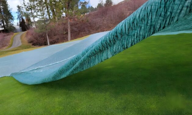 Growth Blanket Creating Greenhouse Effect To Protect Turf On A Golf Green