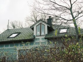 a house with a tree in front of it