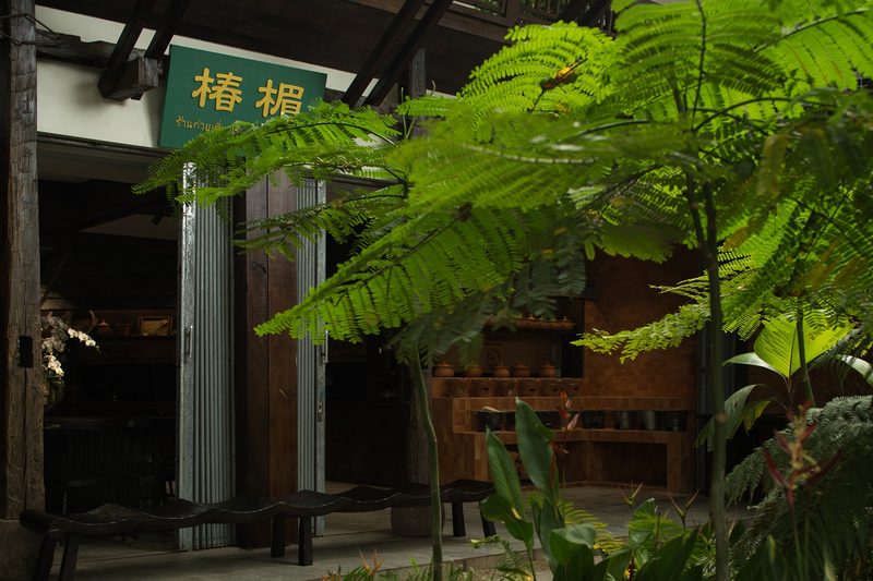 Chun Mei Fen Dang By Funs Creative 5