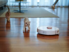 white short coated small dog on brown wooden floor