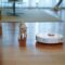 white short coated small dog on brown wooden floor