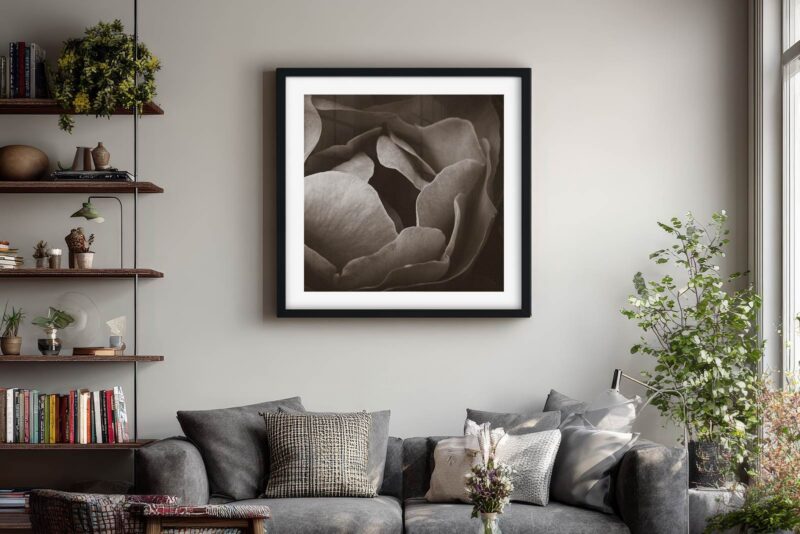 Velvet Petals Framed Art