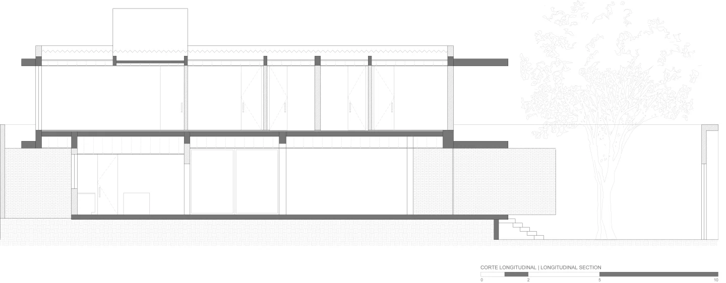 04 Longitudinal Section