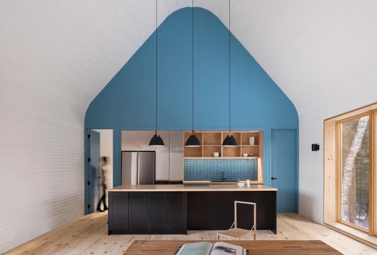 Dogtrot Magnetawan By Williamson Williamson Inc 11