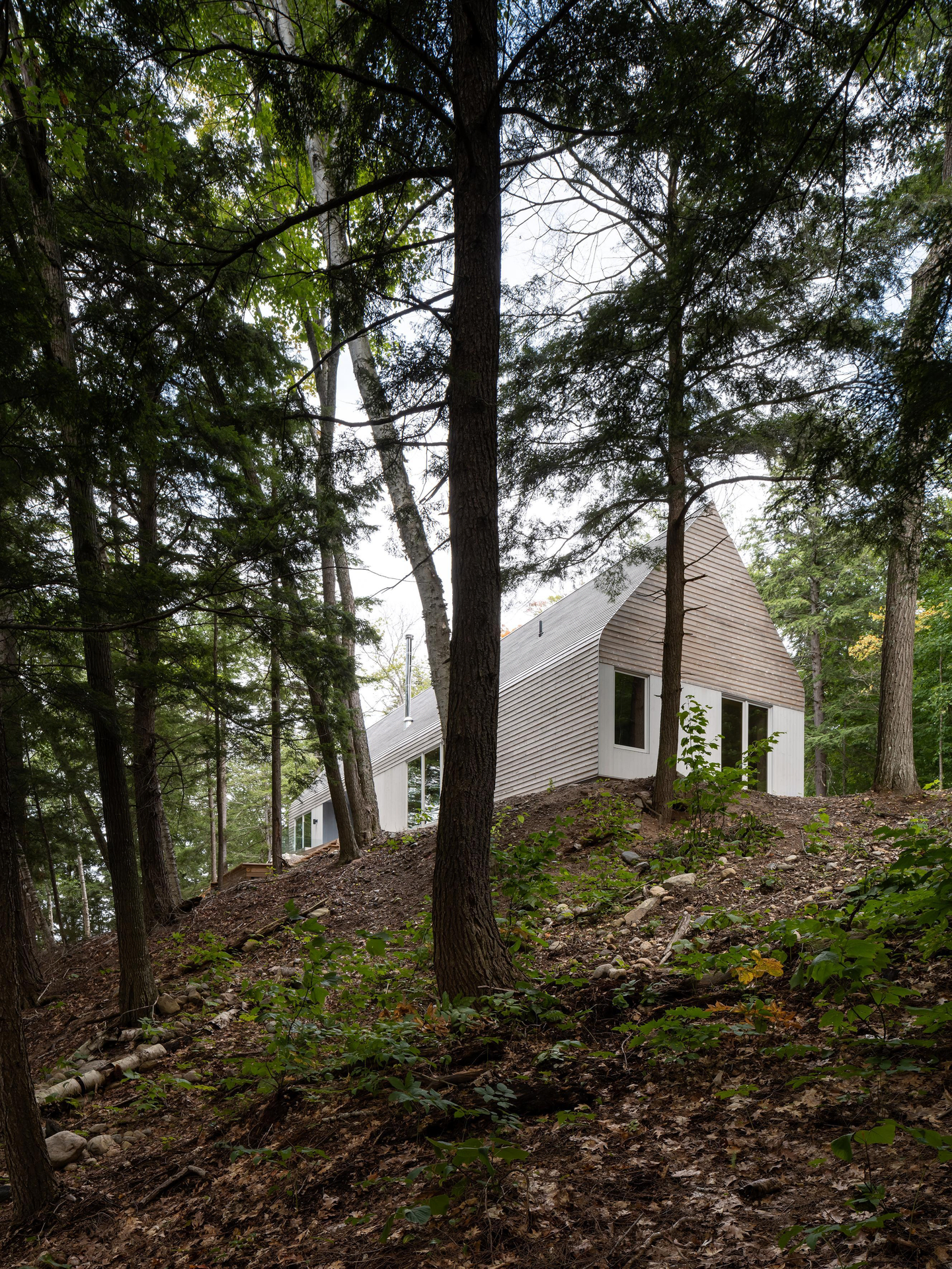Dogtrot Magnetawan By Williamson Williamson Inc 3
