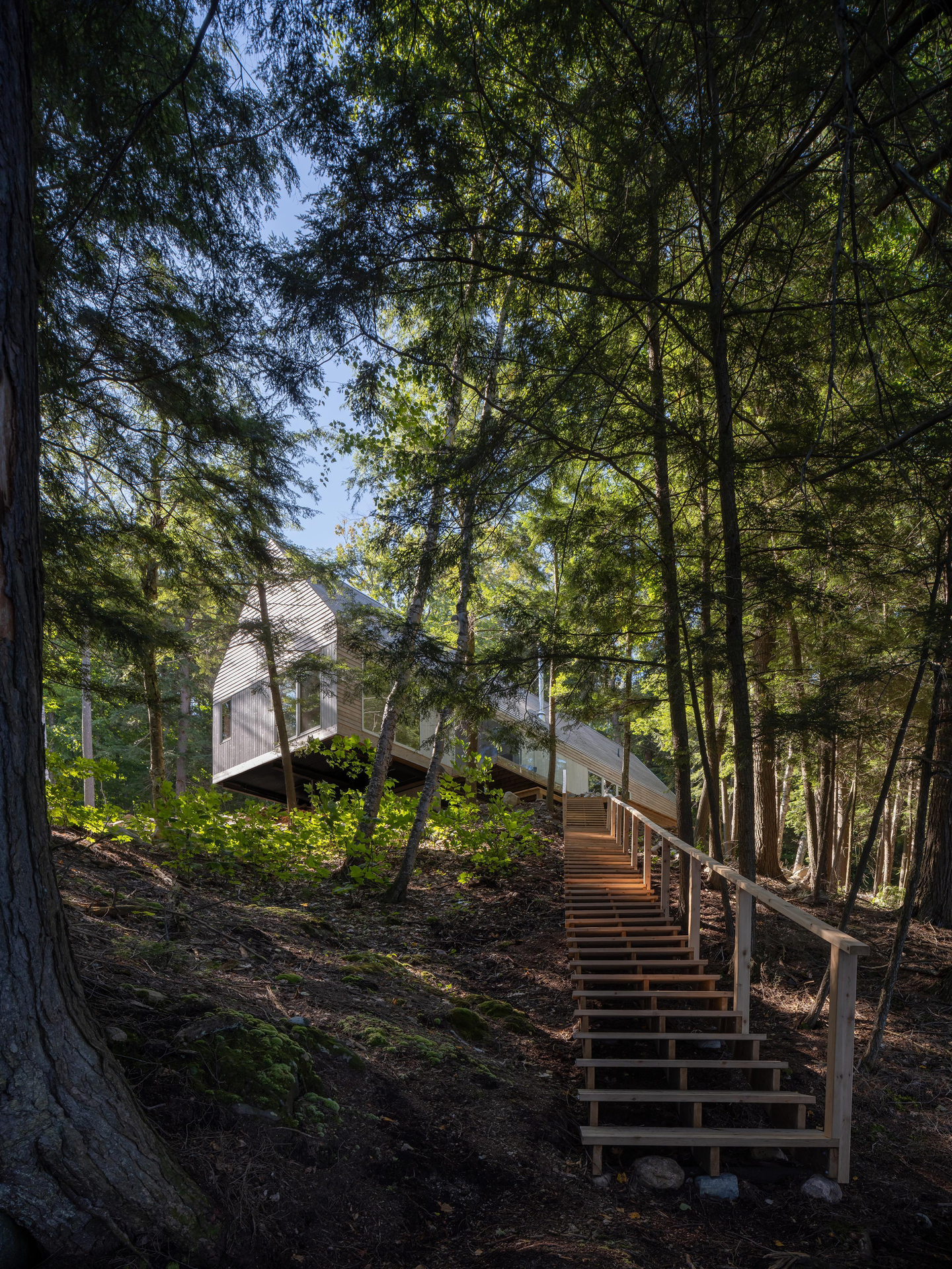 Dogtrot Magnetawan By Williamson Williamson Inc 4