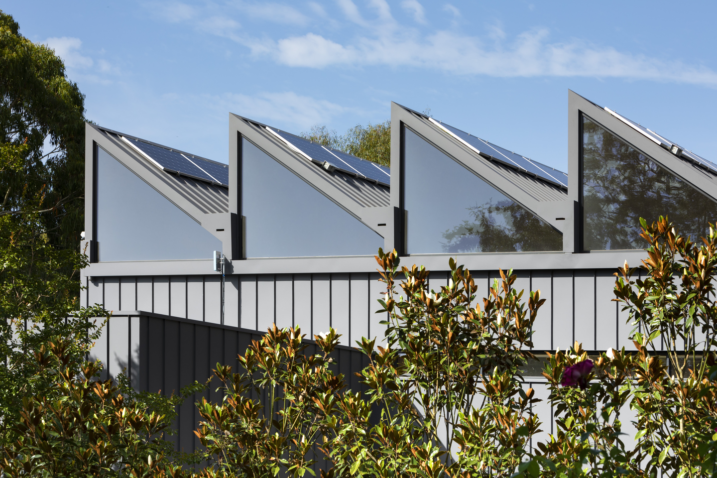 Fmd Clt House 17