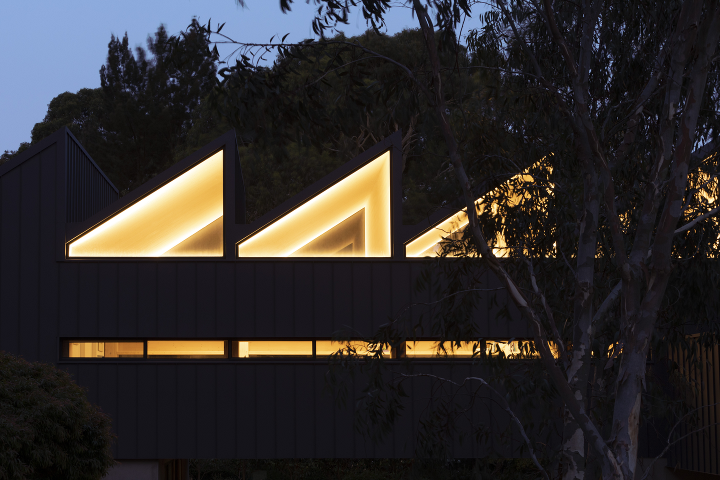 Fmd Clt House 5