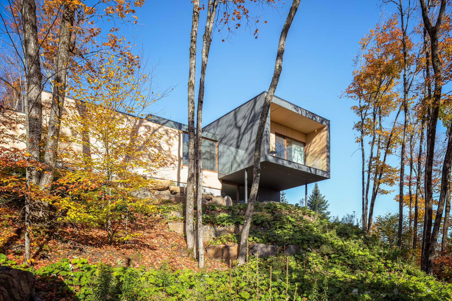 The Hauts Bois House By Thellend Fortin Architectes 2