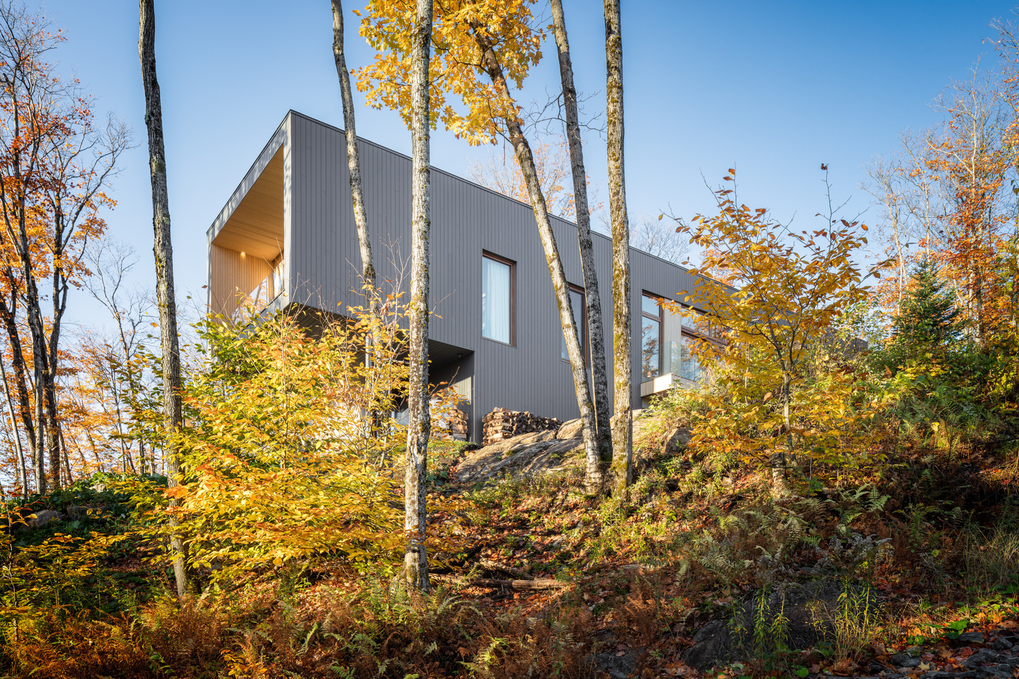 The Hauts Bois House By Thellend Fortin Architectes 4