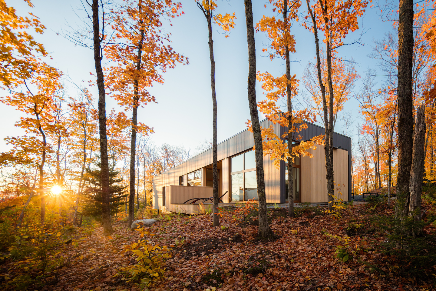 The Hauts Bois House By Thellend Fortin Architectes 6