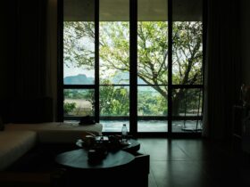 Dark room with large window and nature view